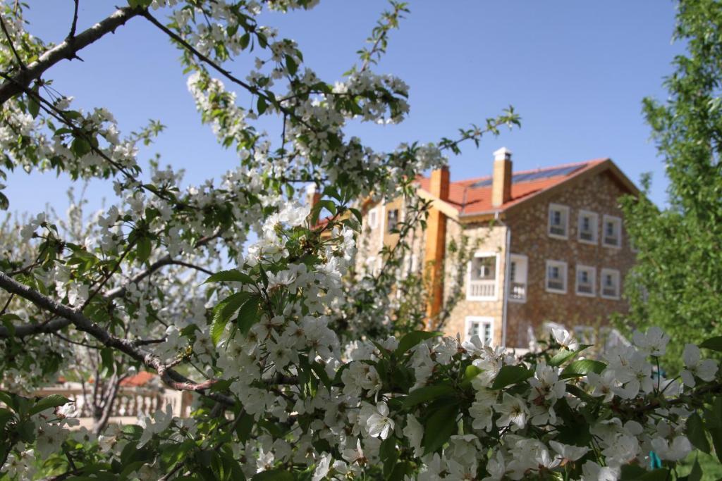 Hotel Le Palais Des Cerisiers Azrou Zewnętrze zdjęcie